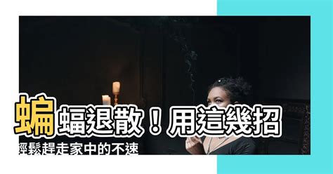 如何趕走蝙蝠